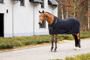 LeMieux Kudos Fleece Cooler Rug Black| Online For Equine