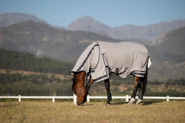 LeMieux Kudos Gladiator Fly Rug Grey| Online For Equine