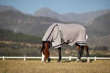 LeMieux Kudos Gladiator Fly Rug Grey| Online For Equine