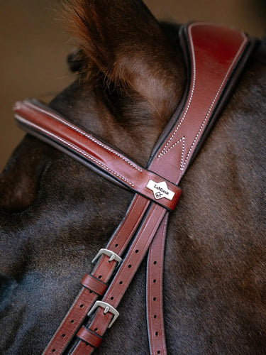 LeMieux Kudos Grackle Bridle Chestnut| Online For Equine
