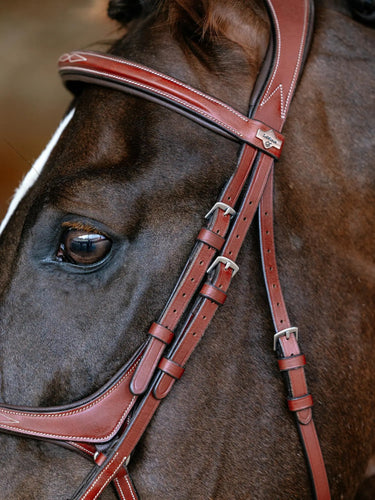 LeMieux Kudos Grackle Bridle Chestnut| Online For Equine