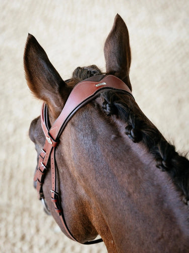 LeMieux Kudos Grackle Bridle Chestnut| Online For Equine