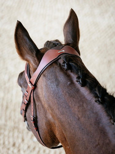 LeMieux Kudos Grackle Bridle Chestnut| Online For Equine