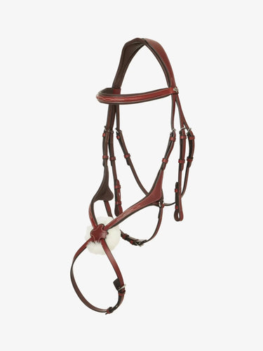 LeMieux Kudos Grackle Bridle Chestnut| Online For Equine