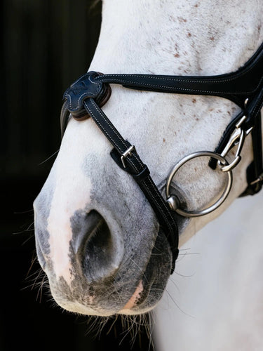 LeMieux Kudos Grackle Work Bridle Black| Online For Equine