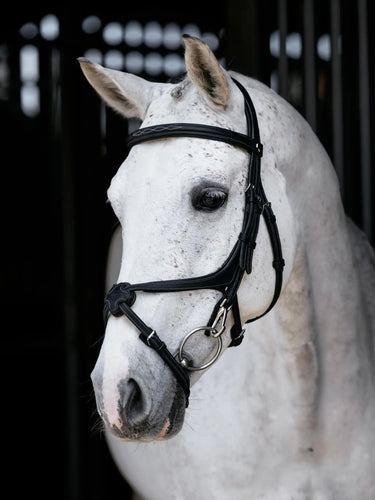 LeMieux Kudos Grackle Work Bridle Black| Online For Equine