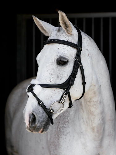LeMieux Kudos Grackle Work Bridle Black| Online For Equine