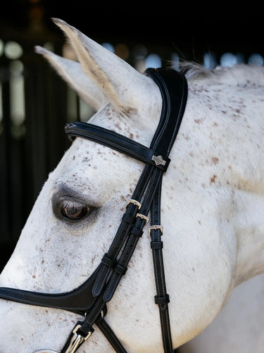 LeMieux Kudos Grackle Work Bridle Black| Online For Equine