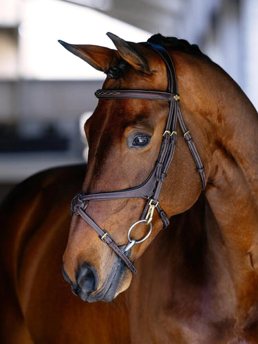 LeMieux Kudos Grackle Work Bridle Brown| Online For Equine