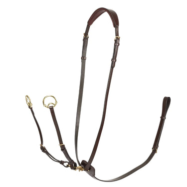 Buy LeMieux Kudos Havana / Brass Running Martingale | Online for Equine