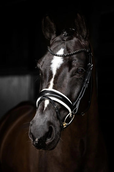 LeMieux Kudos Patent Dressage Bridle Black/White| Online For Equine