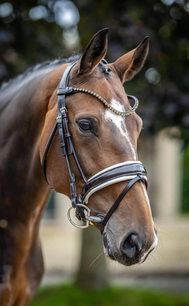 LeMieux Kudos Patent Dressage Bridle Brown/White| Online For Equine