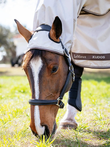LeMieux Kudos Shower Pro Sweet Itch Rug Stone| Online For Equine