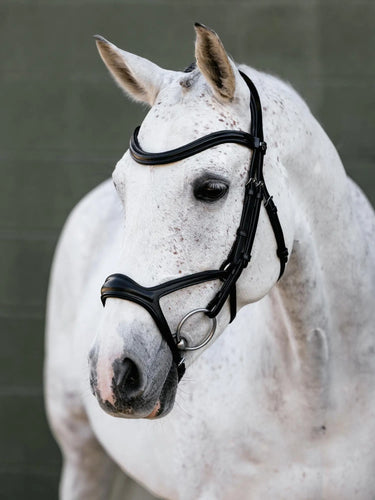 LeMieux Kudos Sport Bridle Black/Silver| Online For Equine