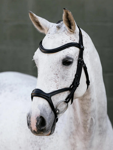 LeMieux Kudos Sport Bridle Black/Silver| Online For Equine