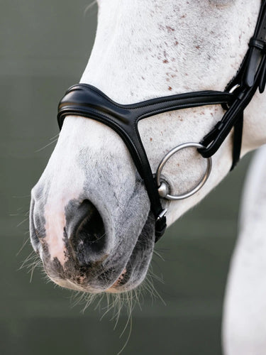 LeMieux Kudos Sport Bridle Black/Silver| Online For Equine