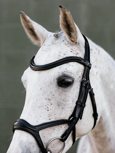 LeMieux Kudos Sport Bridle Black/Silver| Online For Equine