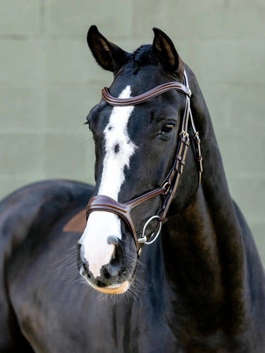 LeMieux Kudos Sport Bridle Havana/Brass| Online For Equine