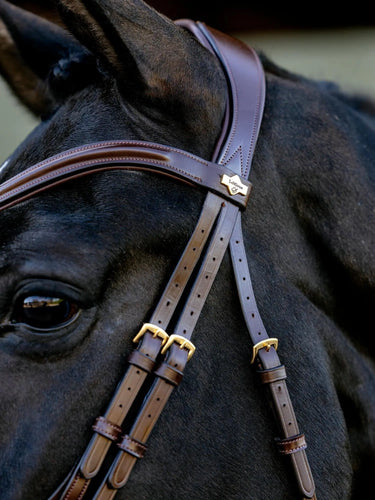 LeMieux Kudos Sport Bridle Havana/Brass| Online For Equine