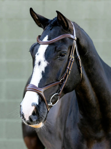 LeMieux Kudos Sport Bridle Havana/Brass| Online For Equine