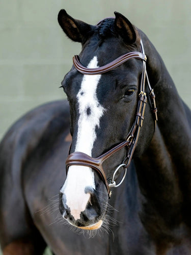 LeMieux Kudos Sport Bridle Havana/Brass| Online For Equine