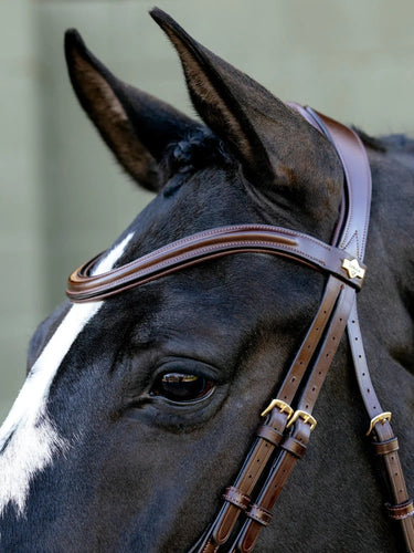 LeMieux Kudos Sport Bridle Havana/Brass| Online For Equine