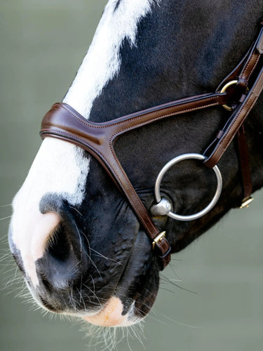 LeMieux Kudos Sport Bridle Havana/Brass| Online For Equine