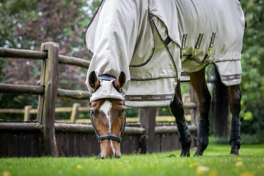 LeMieux Kudos Sweet Itch Rug Stone| Online For Equine