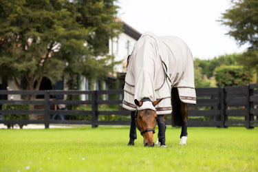 LeMieux Kudos Sweet Itch Rug Stone| Online For Equine