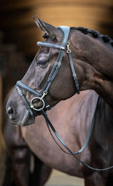 Buy LeMieux Kudos Work Bridle| Online for Equine