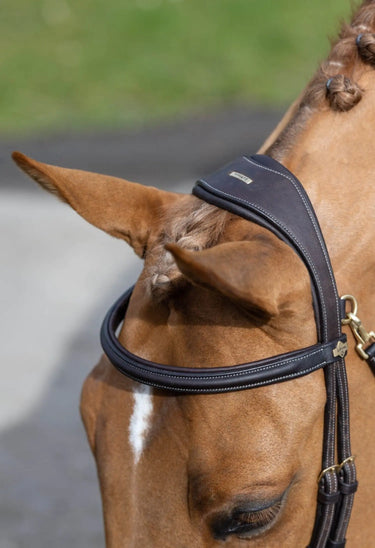 Buy LeMieux Kudos Work Bridle| Online for Equine