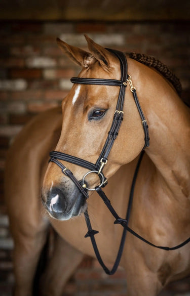 Buy LeMieux Kudos Work Bridle| Online for Equine