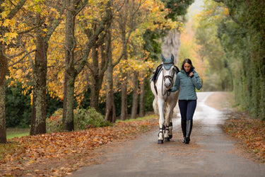 LeMieux Ladies Aloe Brooke 3 in 1 Waterproof Hybrid Jacket Aloe| Online For Equine