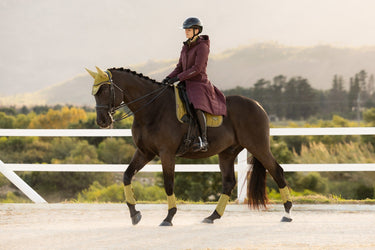 LeMieux Ladies Bramble Erin Waterproof Padded Coat Bramble| Online For Equine