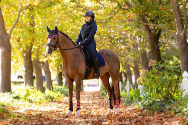 LeMieux Ladies Brooke Waterproof Hybrid Jacket Navy| Online For Equine