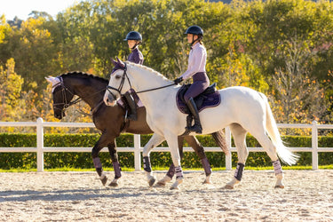 LeMieux Ladies Classique Base Layer Lilac| Online For Equine