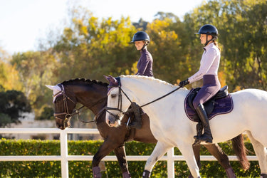 LeMieux Ladies Classique Base Layer Lilac| Online For Equine