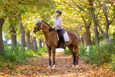 LeMieux Ladies Keira Quarter Zip Sweat Lilac| Online For Equine