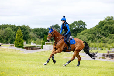 LeMieux Loire Classic Close Contact Square Benetton| Online For Equine