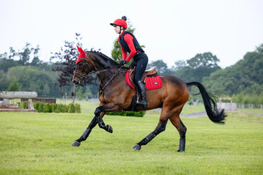 LeMieux Loire Classic Close Contact Square Chilli| Online For Equine