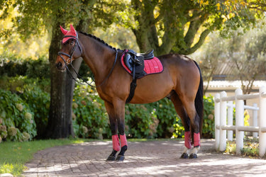 LeMieux Loire Classic Close Contact Square Cranberry| Online For Equine