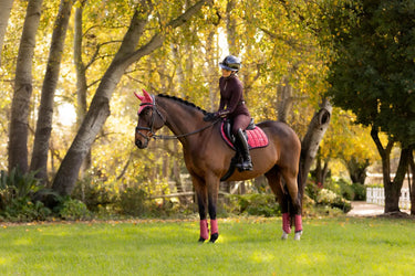 LeMieux Loire Classic Close Contact Square Cranberry| Online For Equine