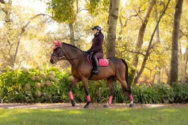 LeMieux Loire Classic Close Contact Square Cranberry| Online For Equine