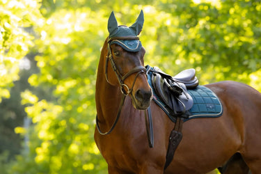 LeMieux Loire Classic Close Contact Square Jungle| Online For Equine