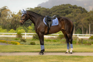LeMieux Loire Classic Close Contact Square Powder Blue| Online For Equine