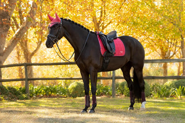 LeMieux Loire Classic Dressage Square Cranberry