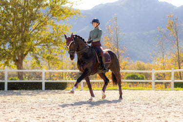 LeMieux Loire Classic Dressage Square Damson| Online For Equine