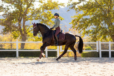 LeMieux Loire Classic Dressage Square Damson| Online For Equine