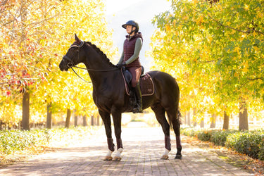 LeMieux Loire Classic Dressage Square Damson| Online For Equine