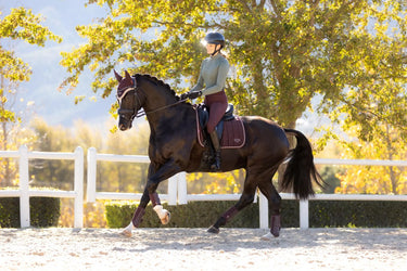 LeMieux Loire Classic Dressage Square Damson| Online For Equine